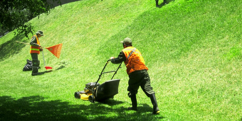 Servicios de Jardinería